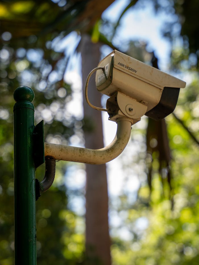 Close-up of a security camera mounted on a green pole in a park, blending into the natural surroundings.